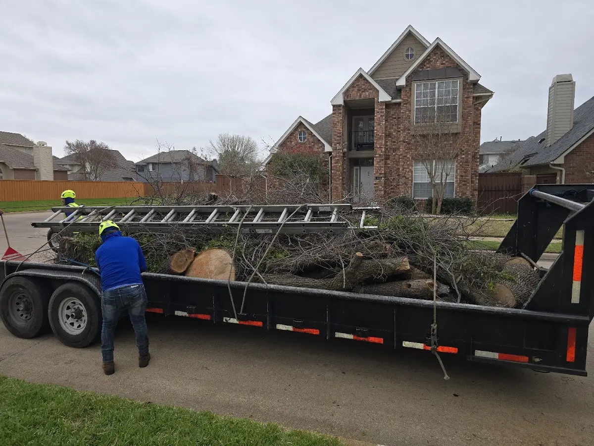 Expert Tree Fertilization with proper safety equipment in Mason